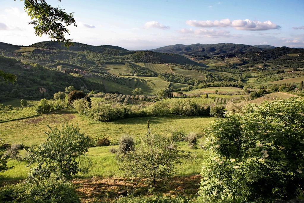 منزل الضيف بانسانو  في Residenza Antico Chianti المظهر الخارجي الصورة
